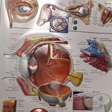 Posters-Eye (3D)