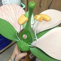 Models-Flower (Dicot)