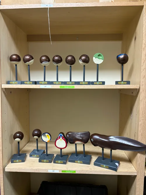 Models- Developmental Stages- Frog