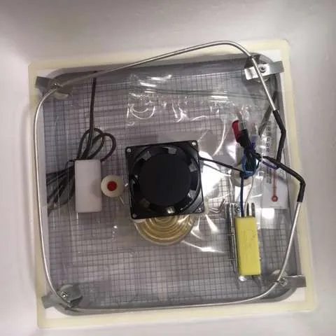 Equipment/Lab: Incubator (Hova-Bator) Model 1583