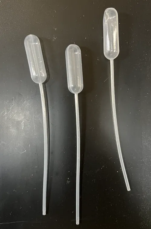 Equipment/Lab-Plastic Transfer Pipettes 