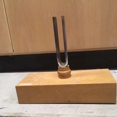 Physics-Tuning Forks