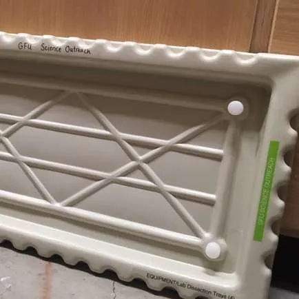 Equipment/Lab: Dissection Trays, Large Animal