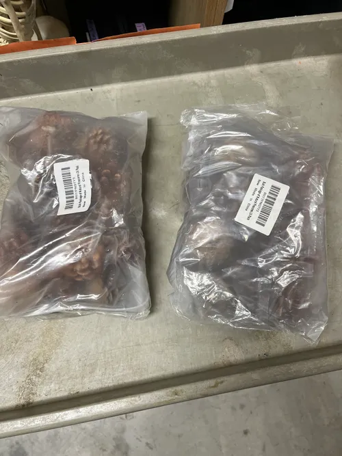 Natural Pine Cones- 24 pack