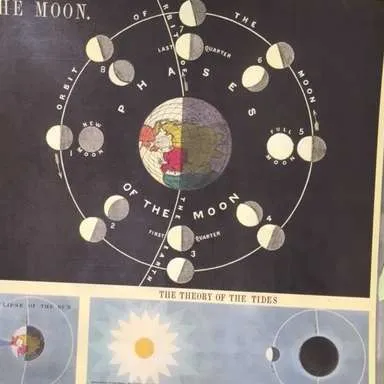 Posters-Phases of the Moon