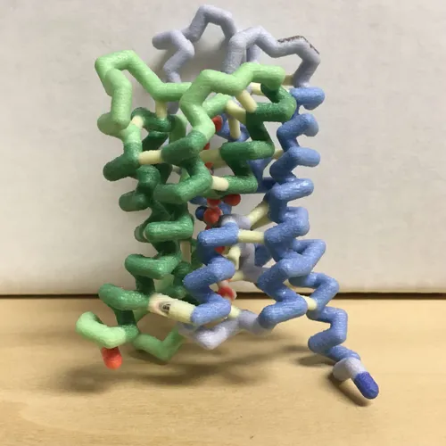 Models-Aquaporin protein structure model