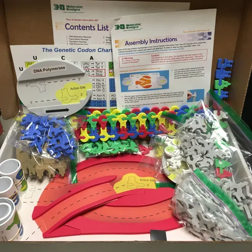 Molecular Biology-Flow of Genetic Information Kit