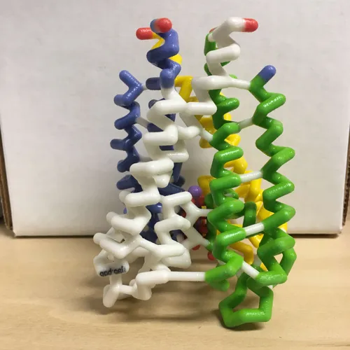 Models-Potassium Channel protein structure model