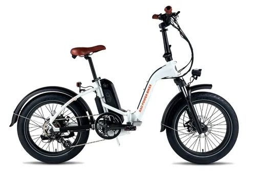 Rad Mini Step Through Fold Up