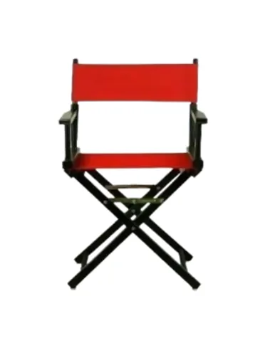 Kids Director's Chairs