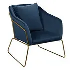 Orion Velvet Occasional Chair