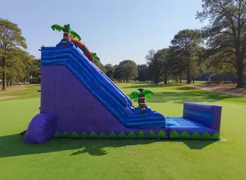 20ft Purple Dry Slide With Stopper (Available After 4/15)