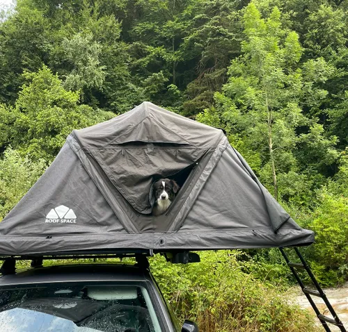 Nettoyage tente de toit et matériel [dodo avec votre chien]