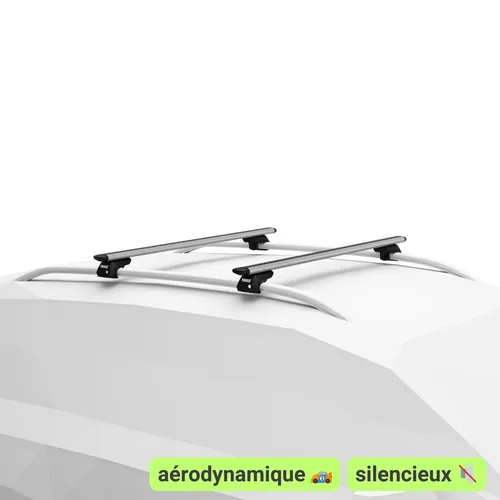Barres de toit aérodynamiques (Thule WingBar Evo - aluminium gris) 🏎 🔇
