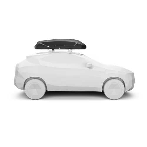 Coffre Thule Pulse 2 Large Noir Mat (450L)