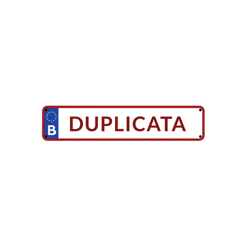 Duplicata plaque d'immatriculation / Plaque personnalisée