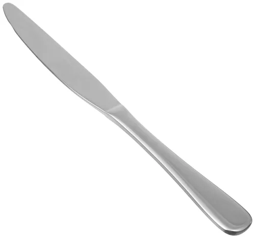 Stainless steel dinner knife