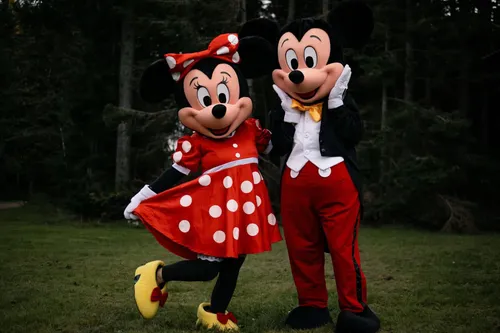 Mascot mickey & minie mouse (package)