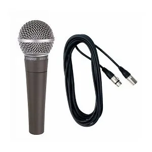 mic with 20' cord 