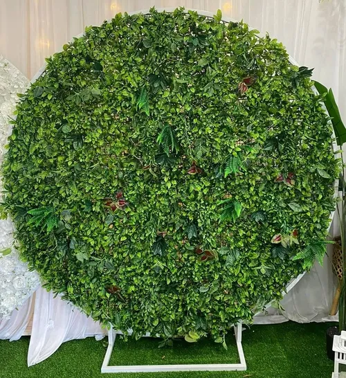 Round Green Lush Wall