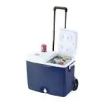 Rubbermaid 45qt Cooler