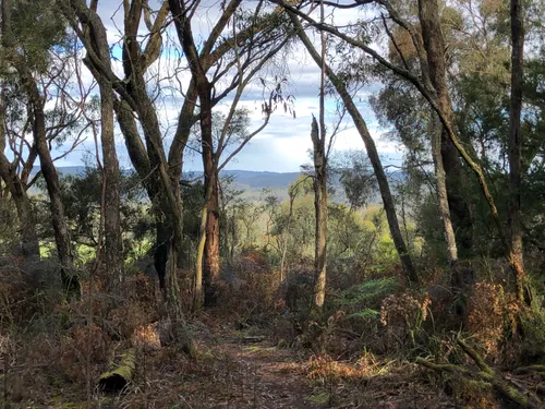 Guided Ride at Yaugher Trails