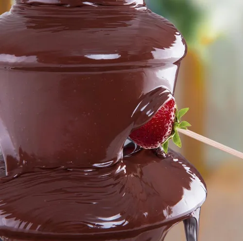 Fontaine à Chocolat Professionnelle