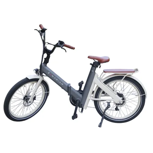 Cruiser E-Bike
