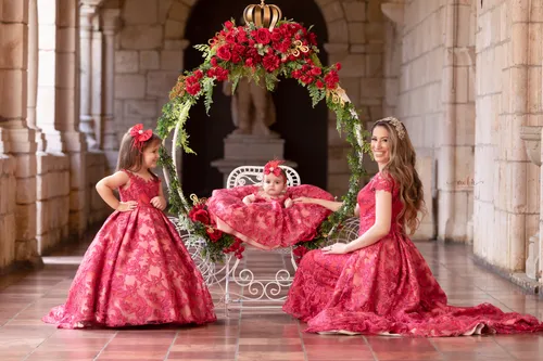 Red luxury rose collection 