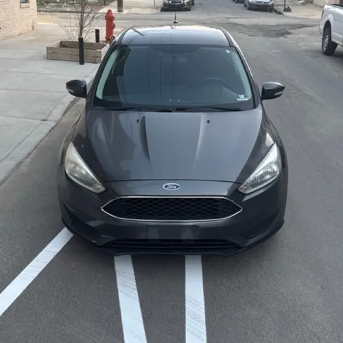 Quaddy - 2017 Ford Focus