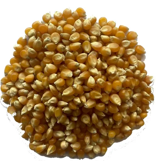 Popcornmais 1 kilo
