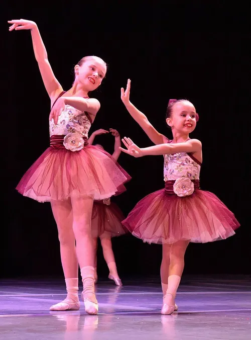 Burgundy and Cream tutus