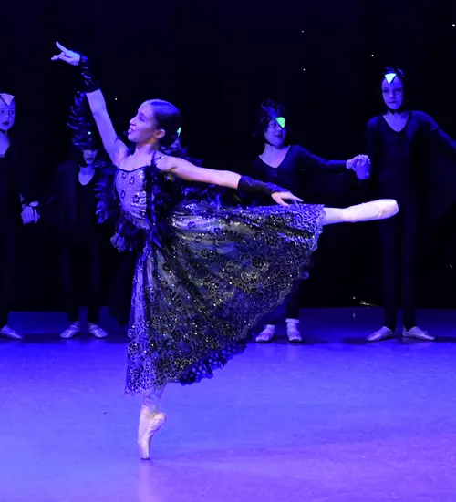 Romantic tutu - Black silver (black feather trims not included)