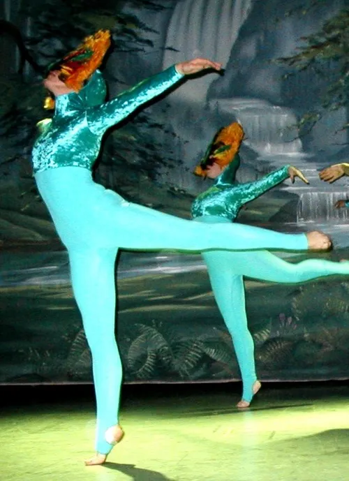 Turquoise half velvet hooded catsuit (Yellow headress not included)