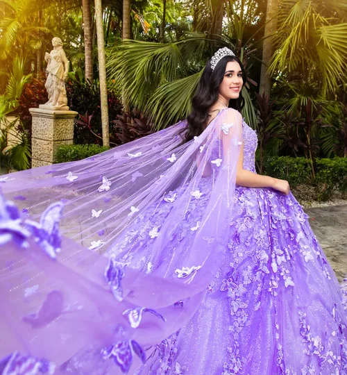 Purple Butterfly Quince Dress