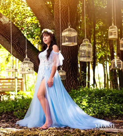 Light Blue Tulle Sleeves Water Dress