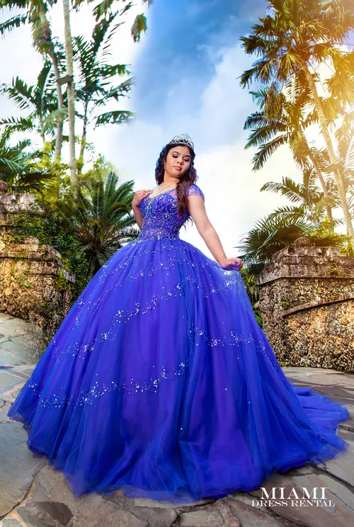 Quinceanera Blueberry Dress