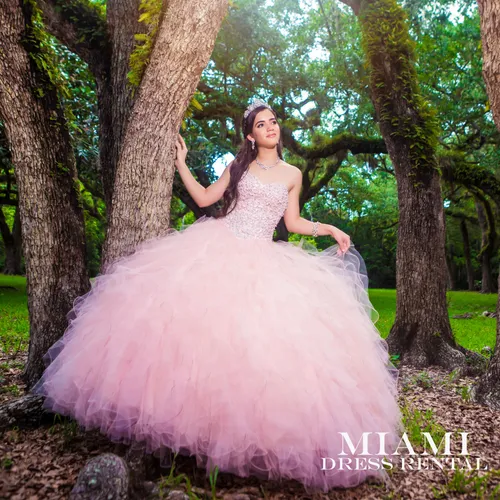 Quinceañera Blush Dress