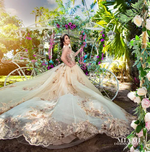 Champagne Quinceañera Dress 