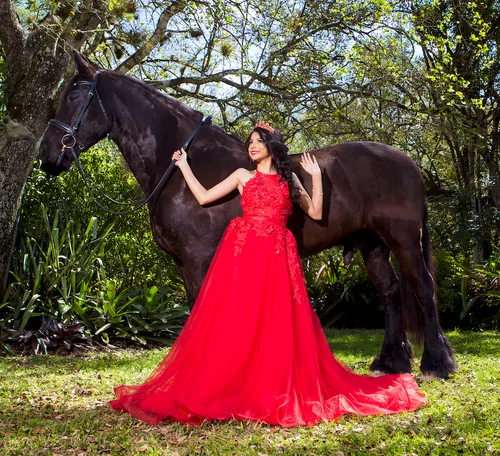 Red Flower Lace Water Dress