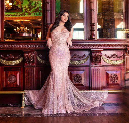 Rose Gold Glam Dress