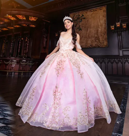 Pink And Gold Quince Dress