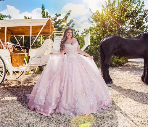 Pink and Silver Sequins Quince Dress