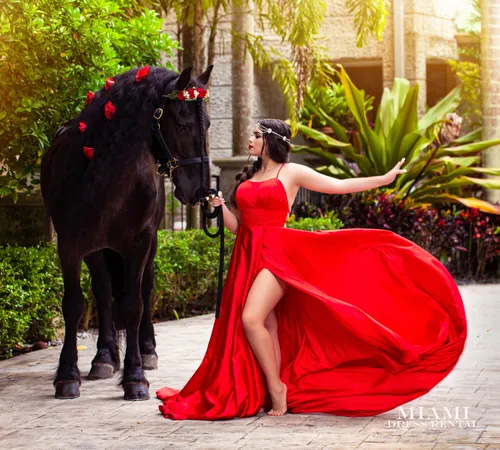 Vizcaya Flying Red Dress