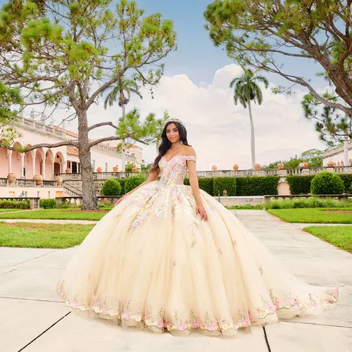 PR30155 Quinceañera Champagne Dress by Ariana Vara