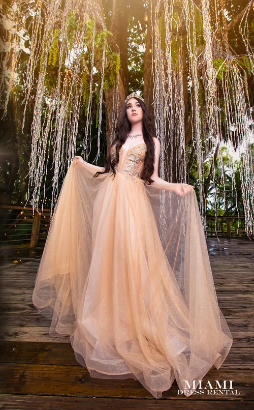 Champagne Glam Dress