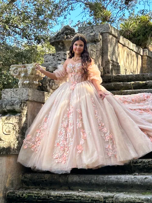 Champagne/Rose Gold Dress with Flowers in 3D