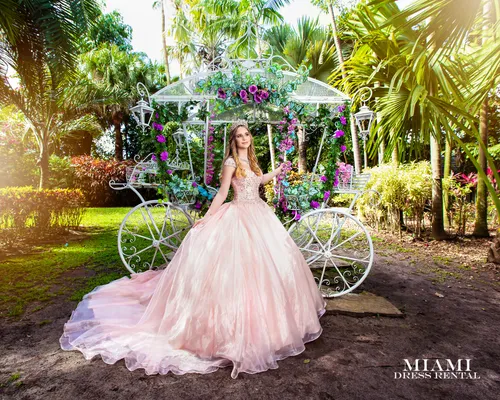 Blush/Pink Quinceañera Dress 