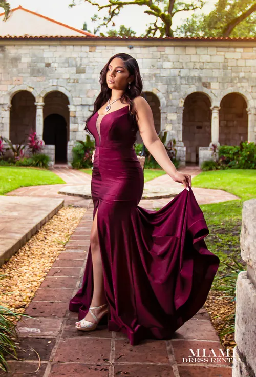Wine Glam Dress