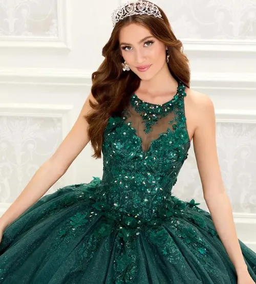 3-D Forest Floral Embroidered Quinceañera Dress